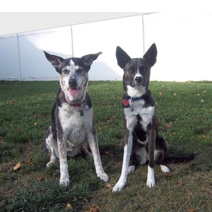 Fundraising Page: Deb Van Dusen